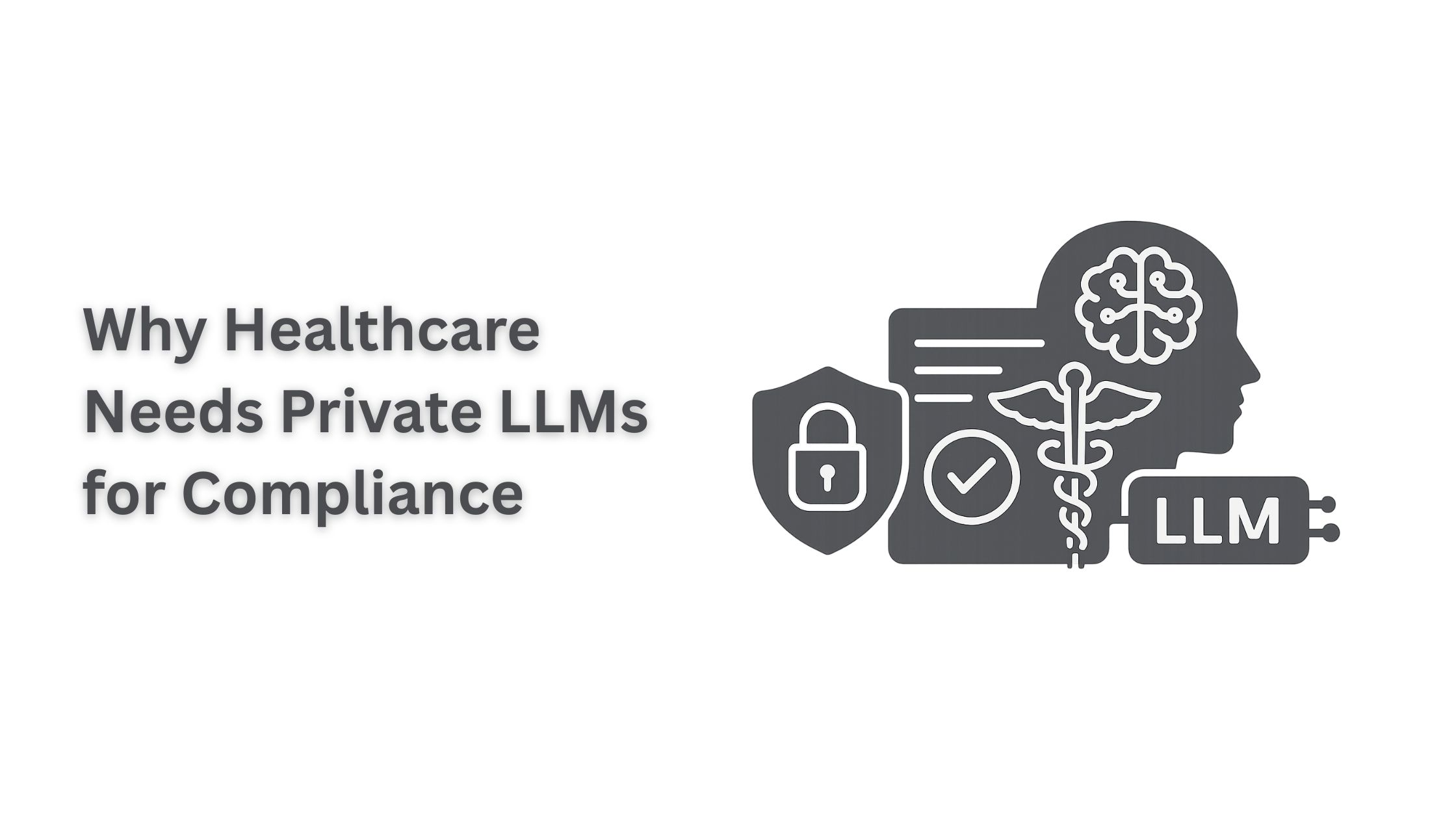 Why Healthcare Needs Private LLMs for Compliance